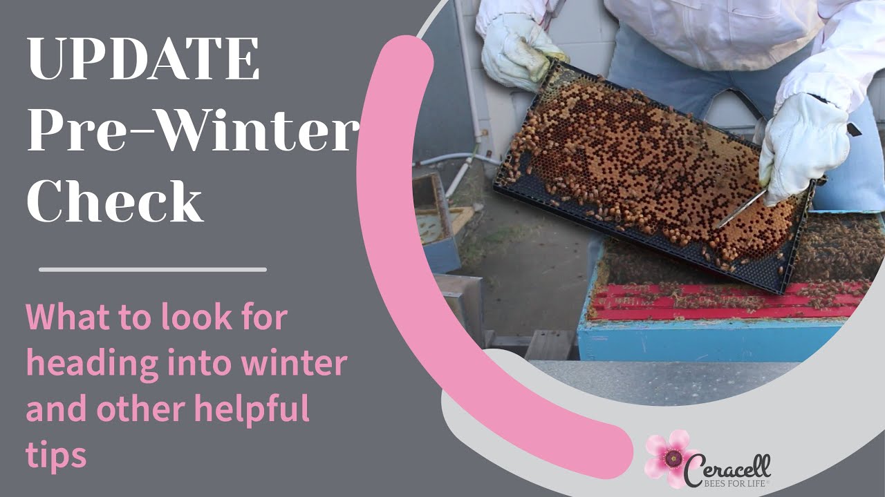 Pre - Winter Check Update