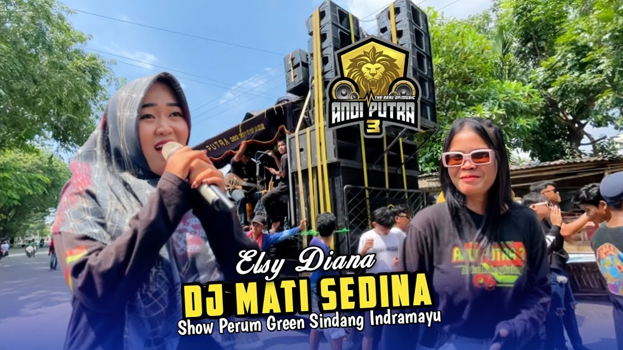 DJ MATI SEDINA • Elsy Diana • Andi Putra 3 • Show Perum Green Sindang Indramayu 