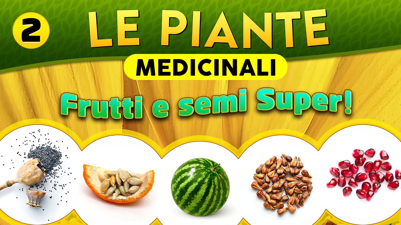 Le Piante medicinali (PARTE 2): frutti e semi super! ► Puntata 113