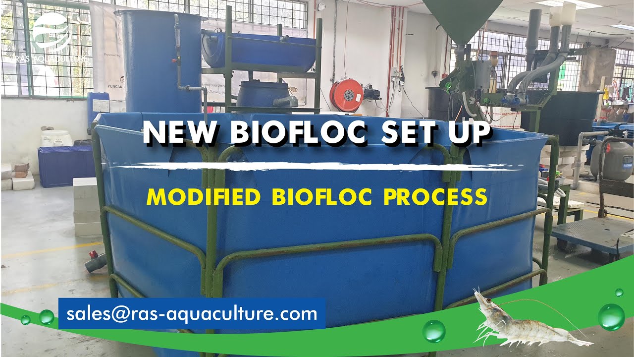 New Biofloc Setup with a Hybrid RAS Technology