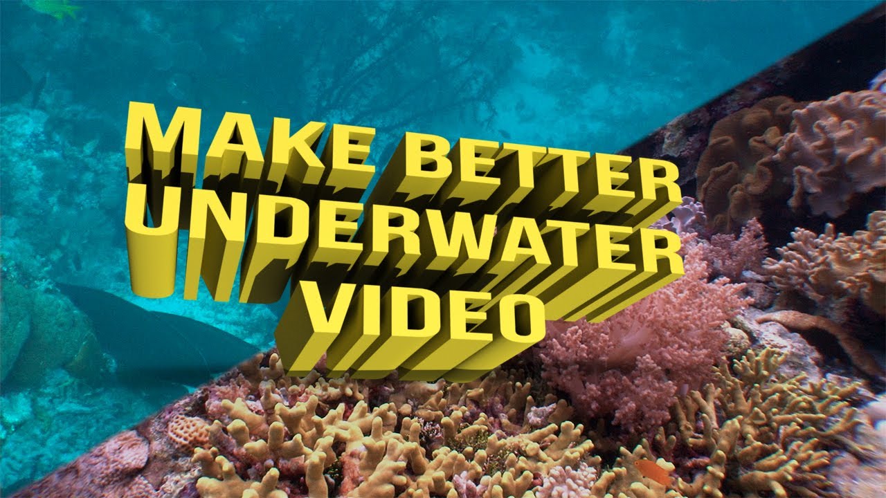 Tutorial: How to Make better Underwater Videos - Liquid Motion&reg; Underwater CInematography & Filming