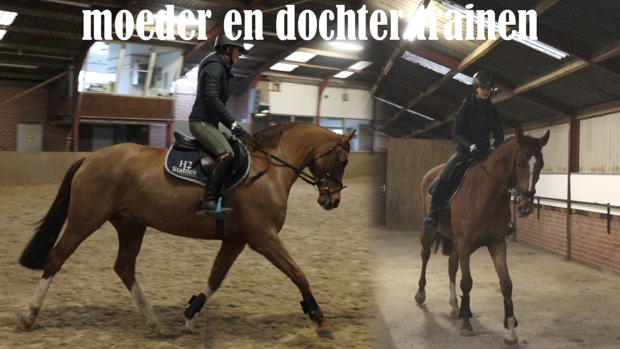 fokmerrie rijden en jong paard opleiden | #training |PaintedPony