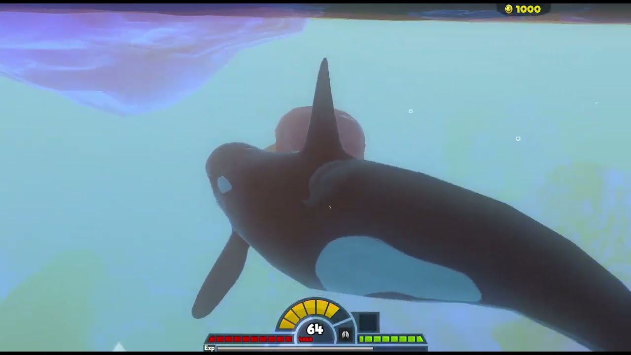 Level 100 Orca In Feed And Grow Fish!