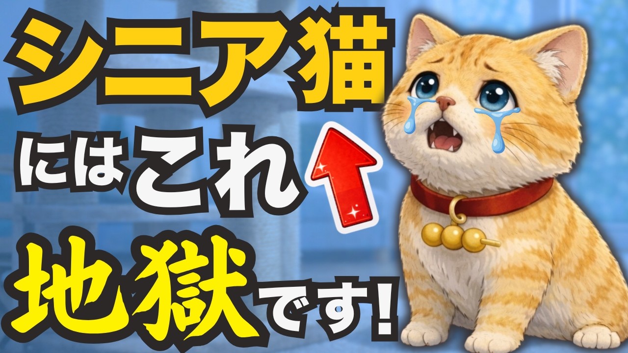 【シニア猫のお世話】老化が始まったら見直すべきこと7選【猫の雑学】
