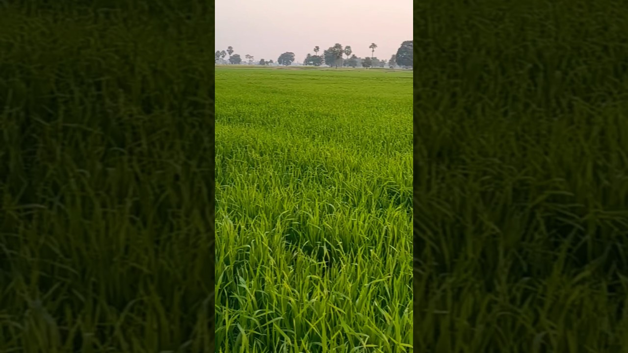 #techno