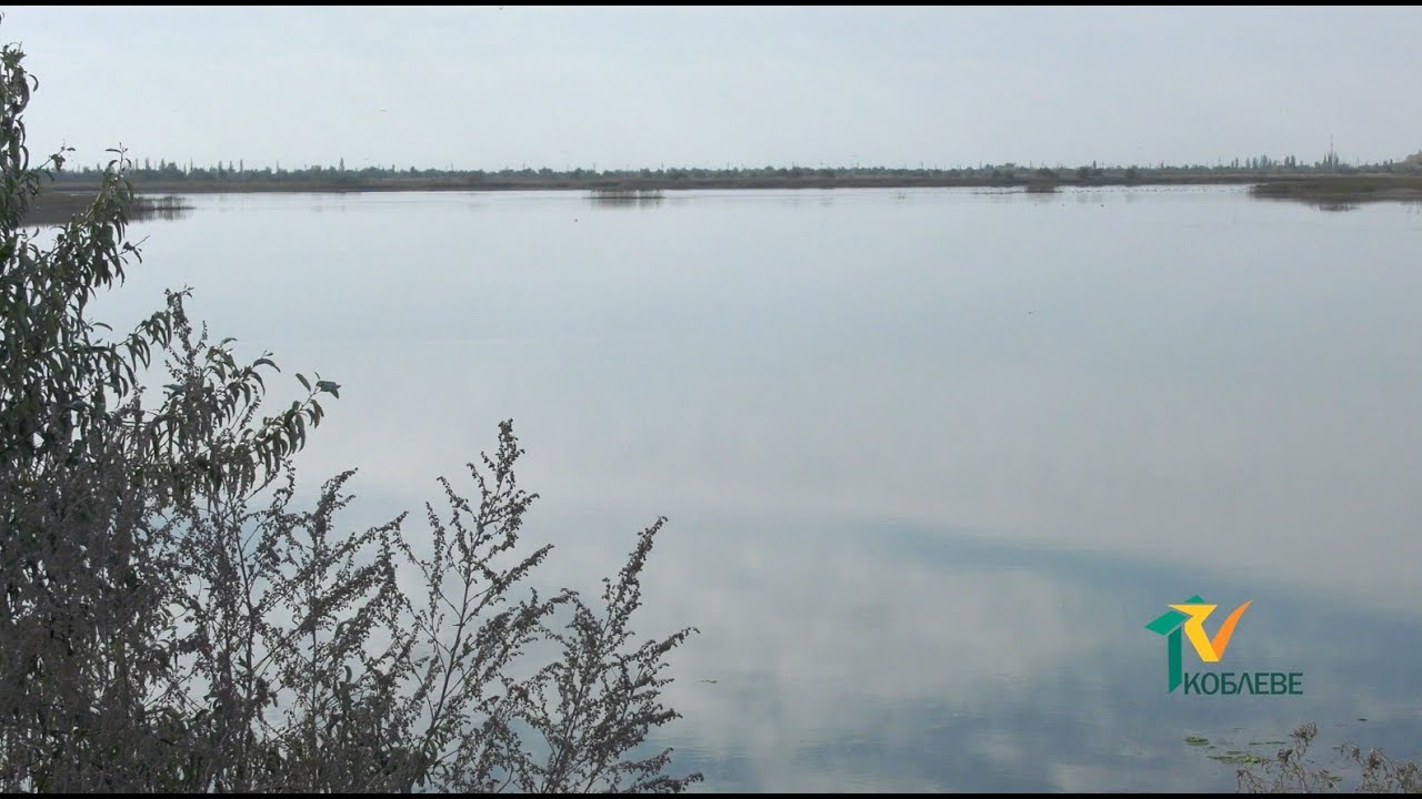 На водоемах Николаевской области действует запрет на вылов рыбы