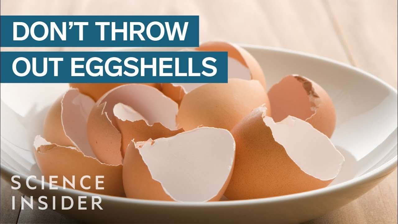 Why You Should Stop Throwing Out Your Eggshells