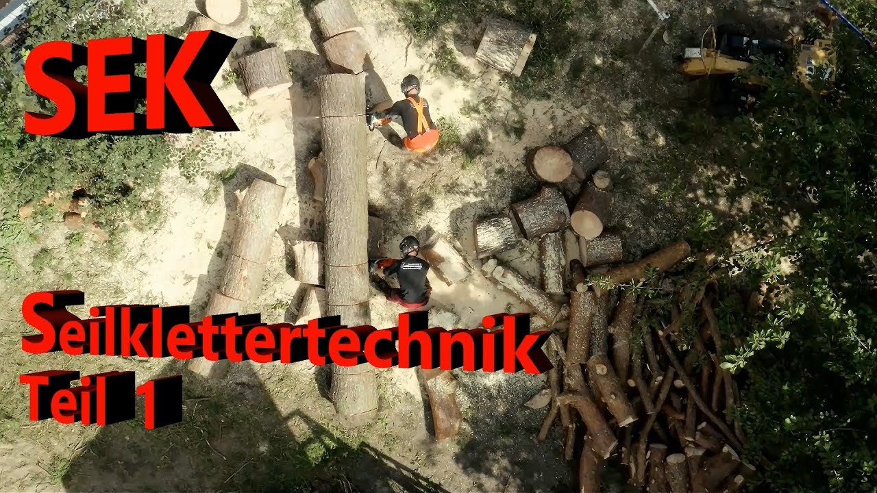 Sondereinsatzkommando Seilklettertechnik I Teil 1 I Bades Baumdienst