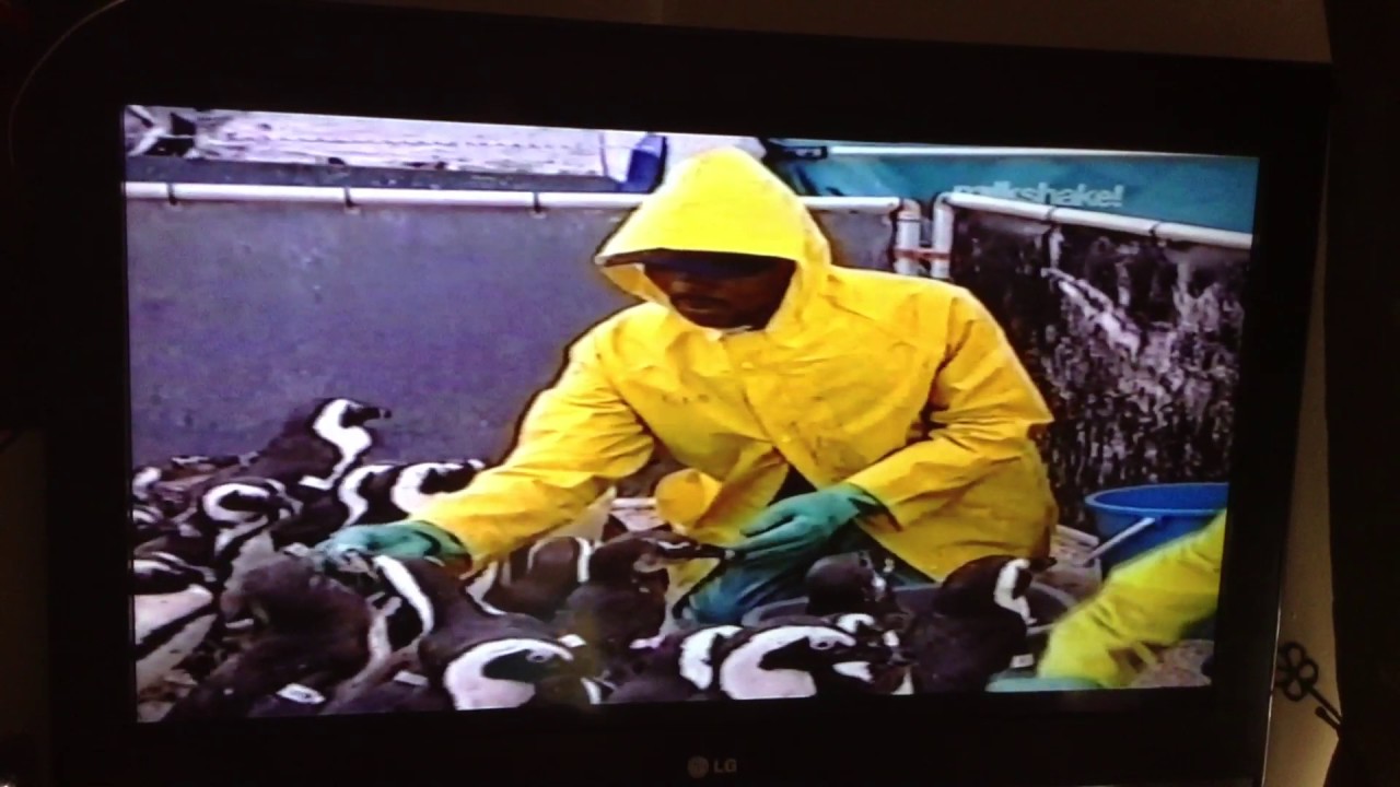 Channel Five's Milkshake! - Animal Express Full Episode (2002)