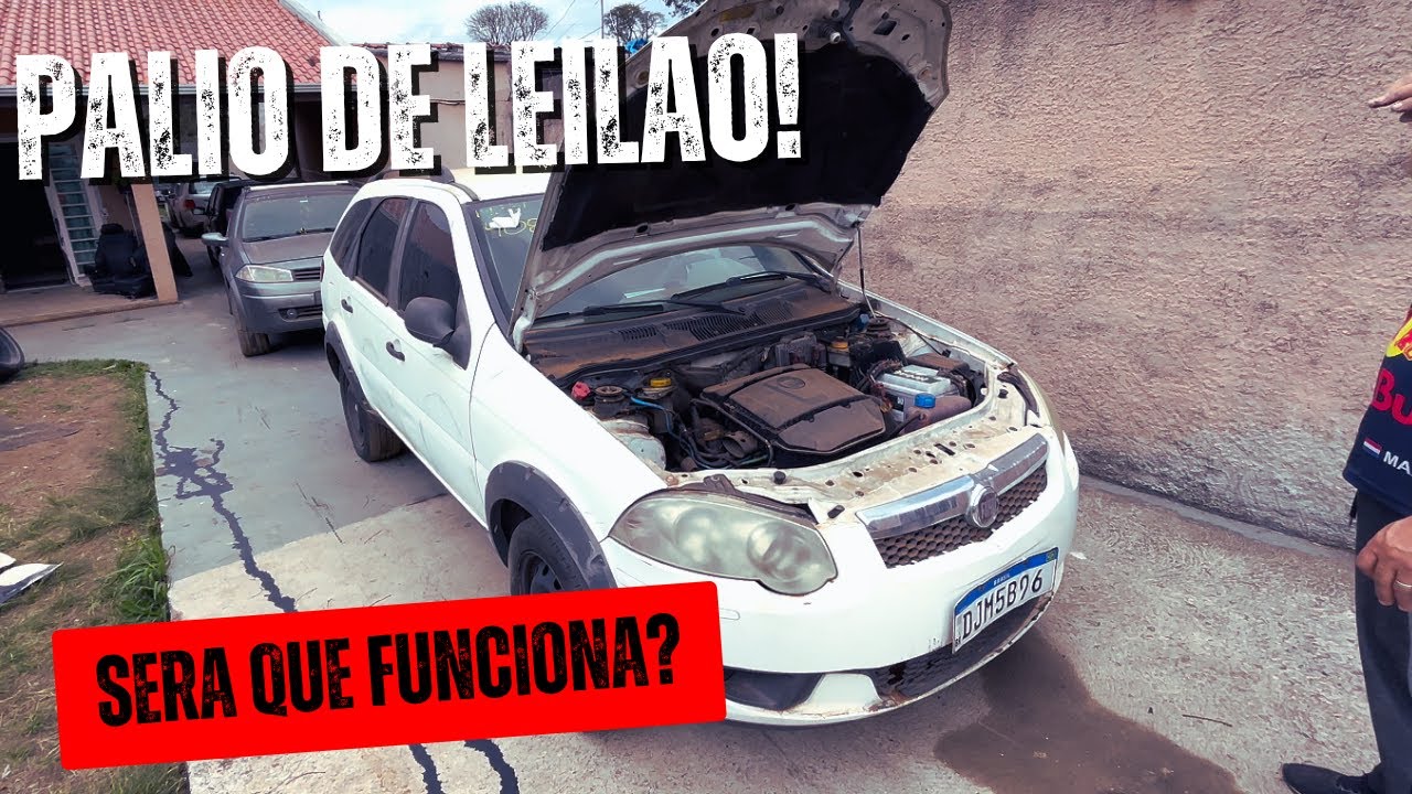 PALIO DE LEILAO SERA QUE FUNCIONA?