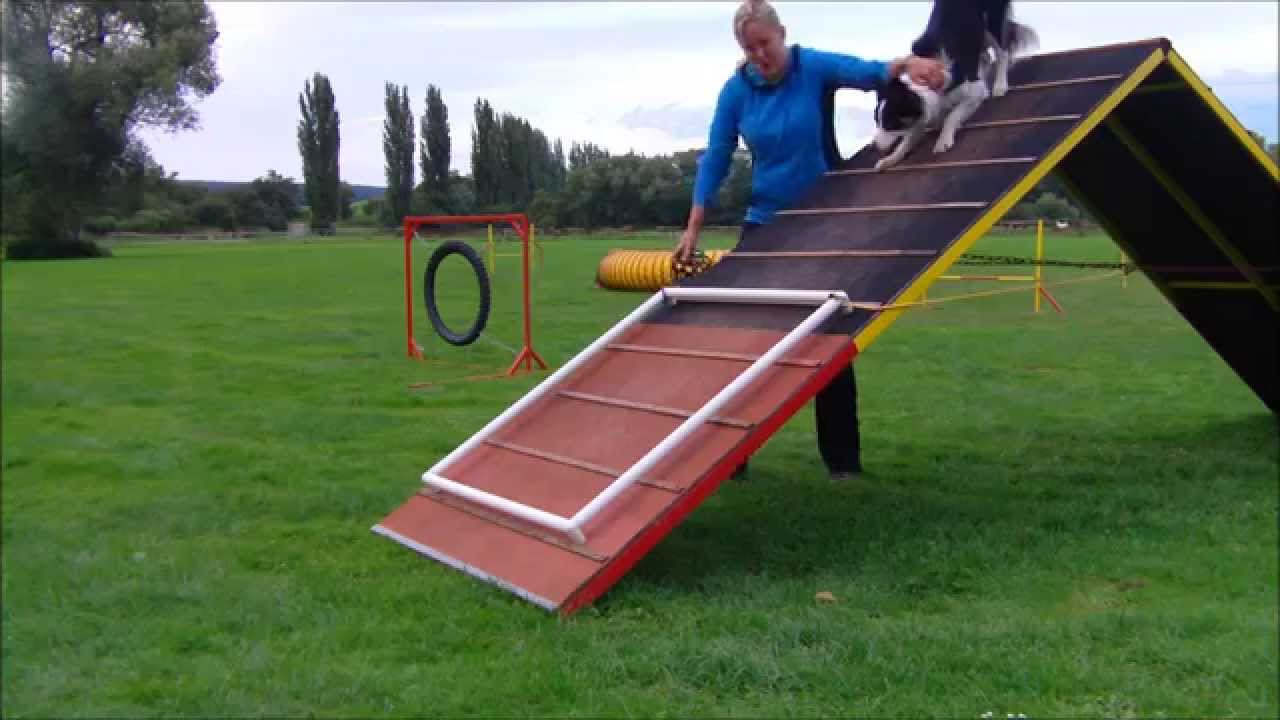 GRACE - running contact A-frame