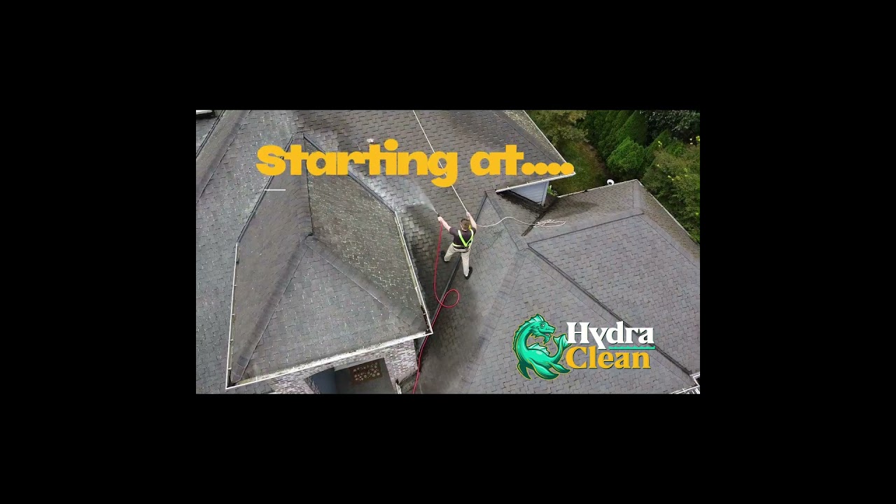 Bellevue Roof Cleaning - Hydra Clean