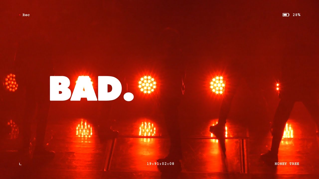 [RECORD OF YOU.]  27track - 