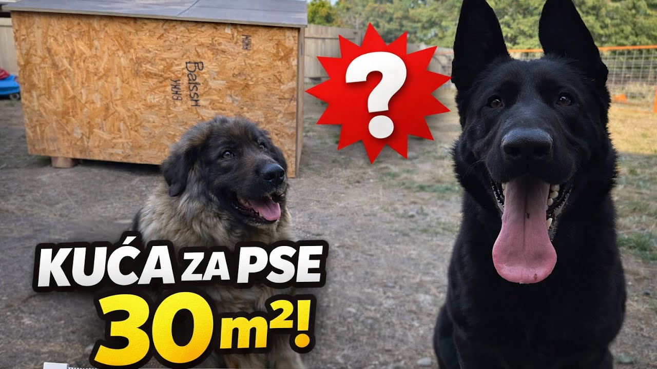 Kuća za pse od 30 kvadratnih metara
