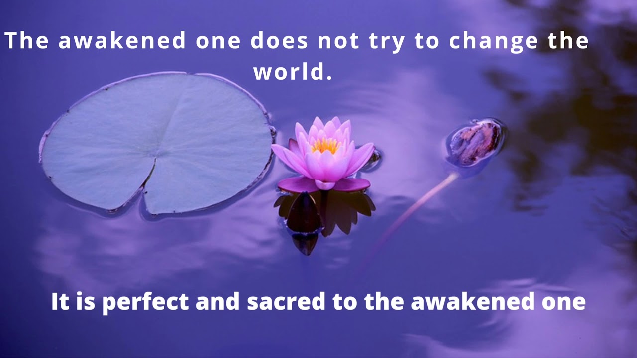 Live & pre-recorded programs from the Golden Age Movement for USA and Canada.