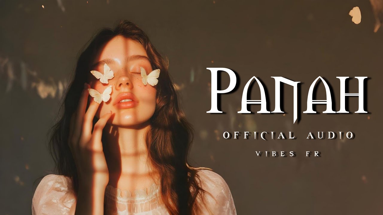 Panah - Vibes Fr | Official Audio | Mitraz Latest Song