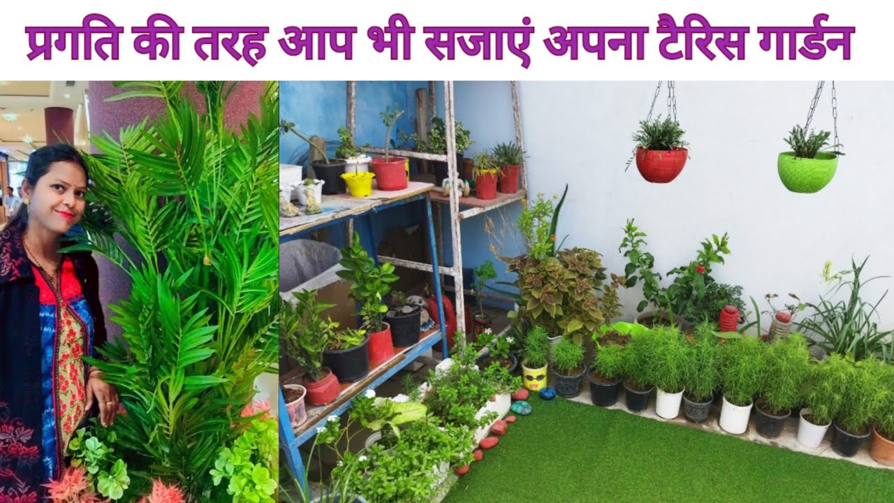 Budget Friendly Terrace Garden by Pragati Cutting Growing Garden