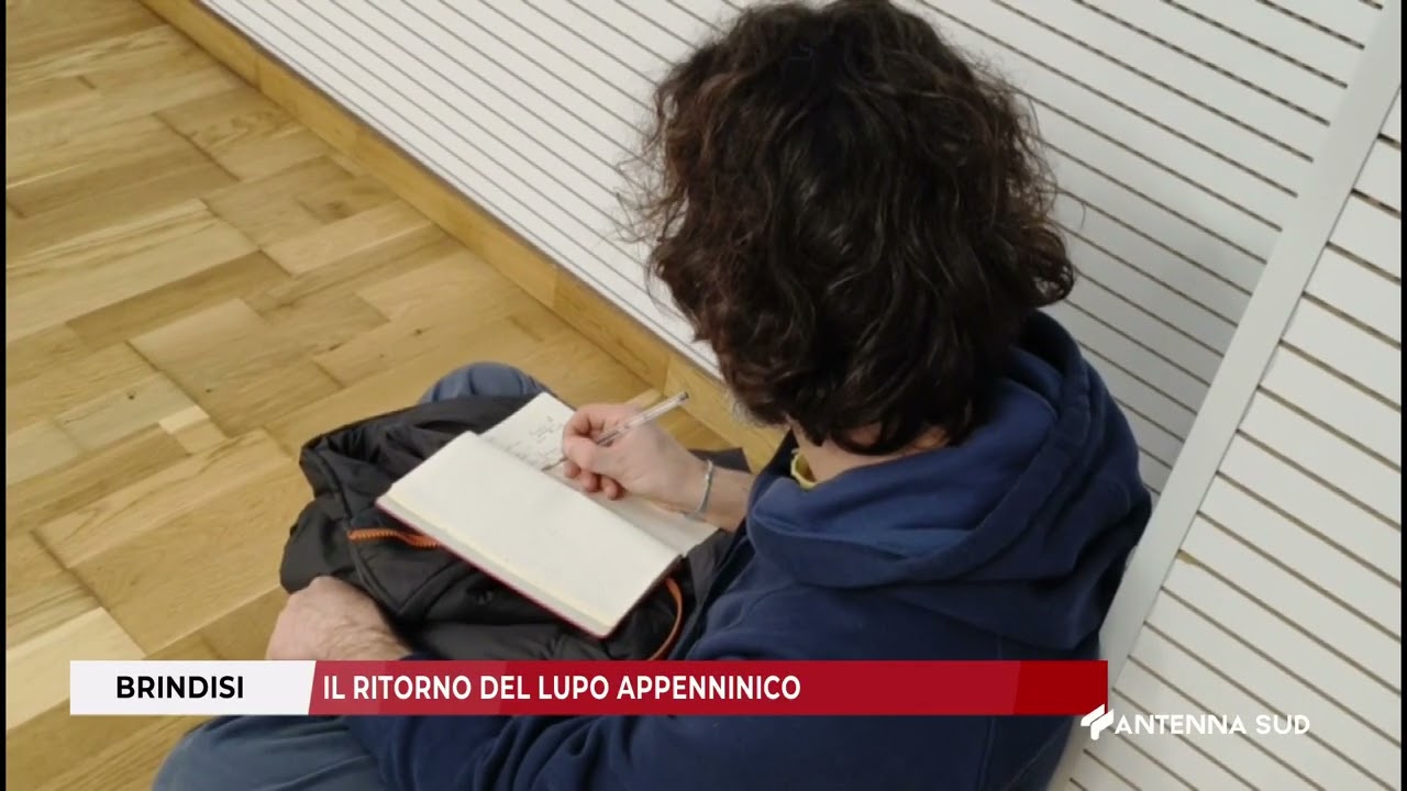 11 GENNAIO 2025   BRINDISI   IL RITORNO DEL LUPO APPENNINICO