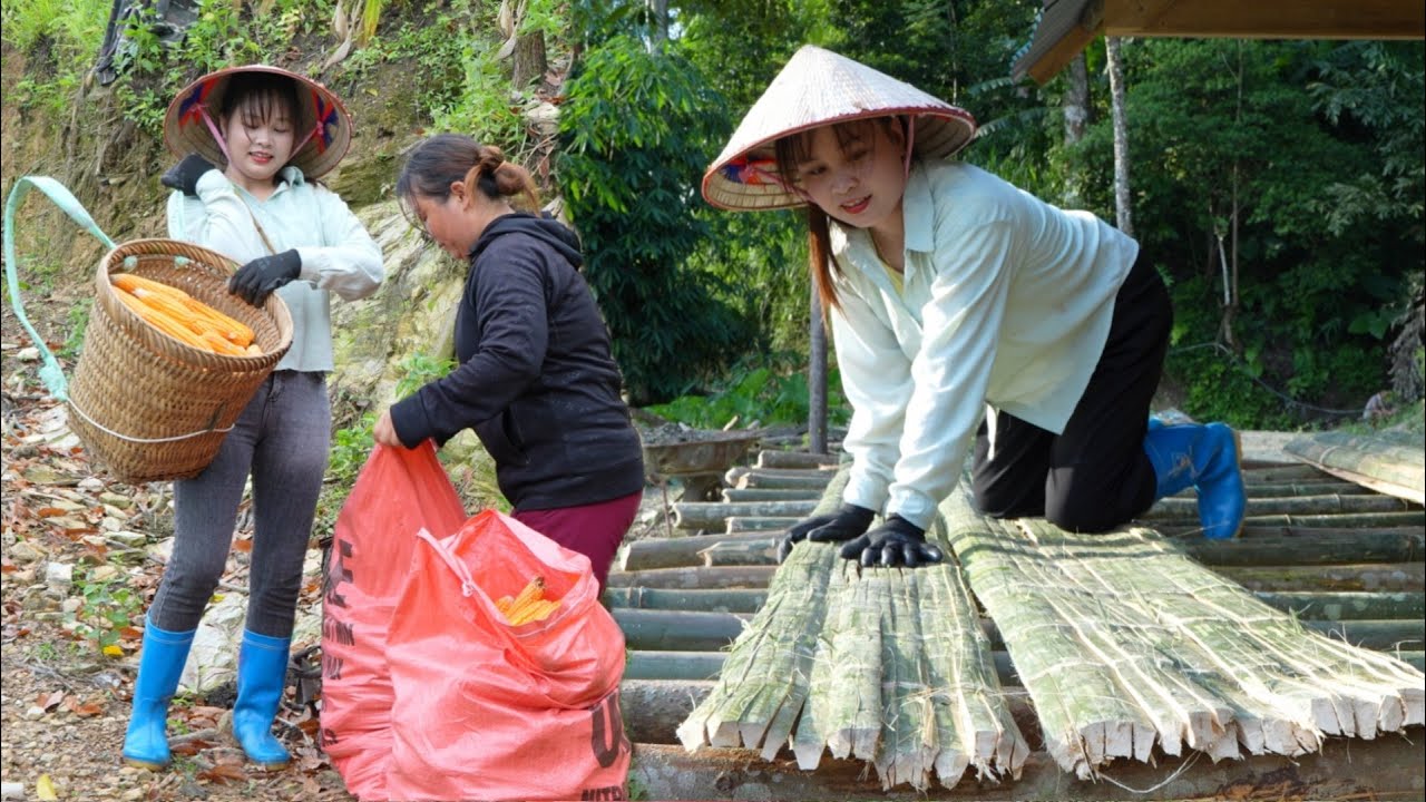 Making corn drying floor and harvesting corn, catching honey bee nests on the farm