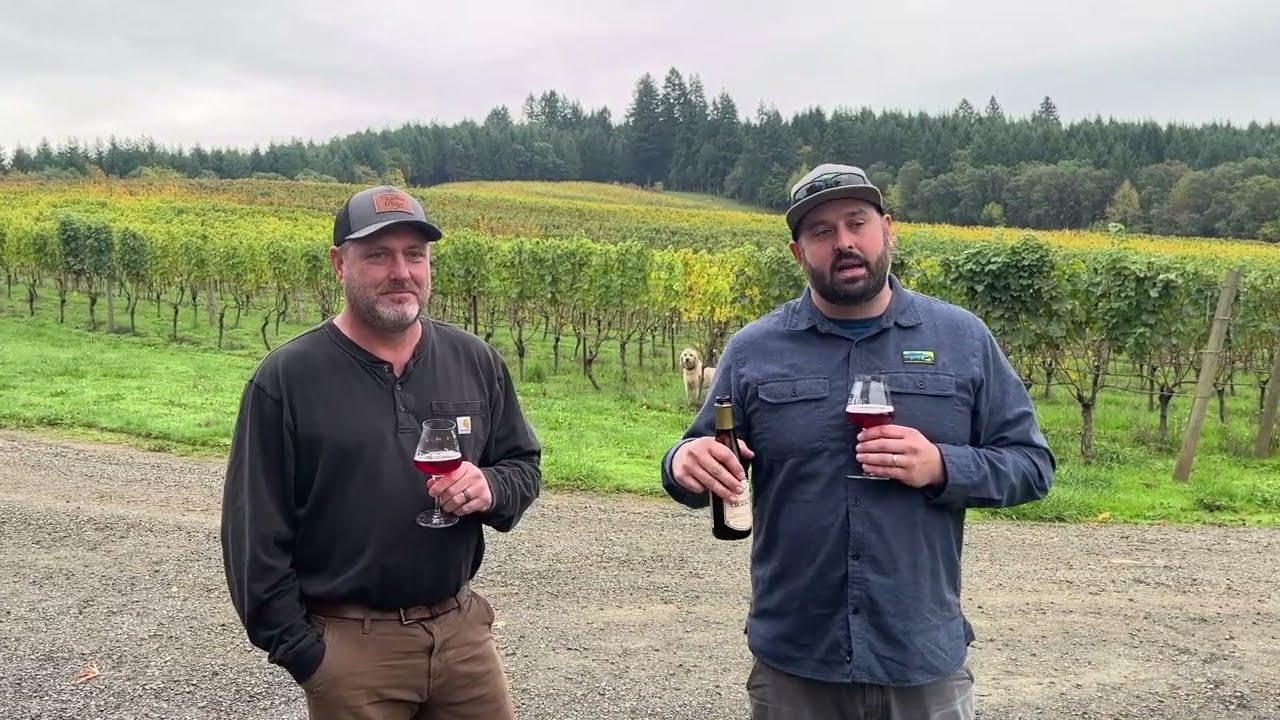 Get to know: Terroir Project Walnut Ridge