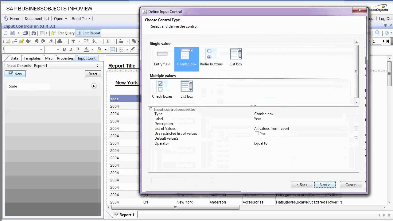 Input Controls on Business Objects 3.1