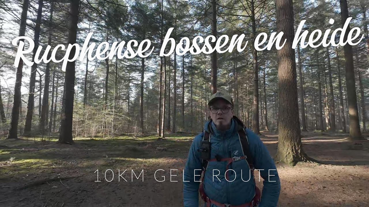 Rucphense bossen en heide - Gele route 10km