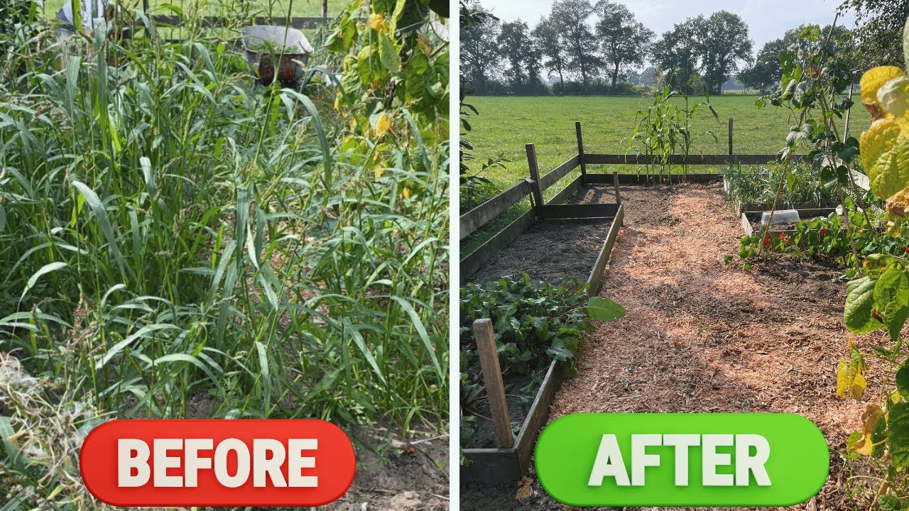 Before vs After groentetuin transformatie Part 1