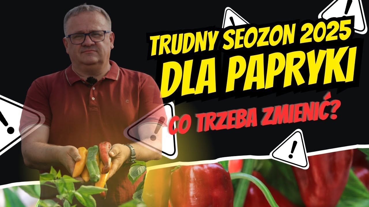 Trudny rok 2025 dla producentów papryki na południowym Mazowszu