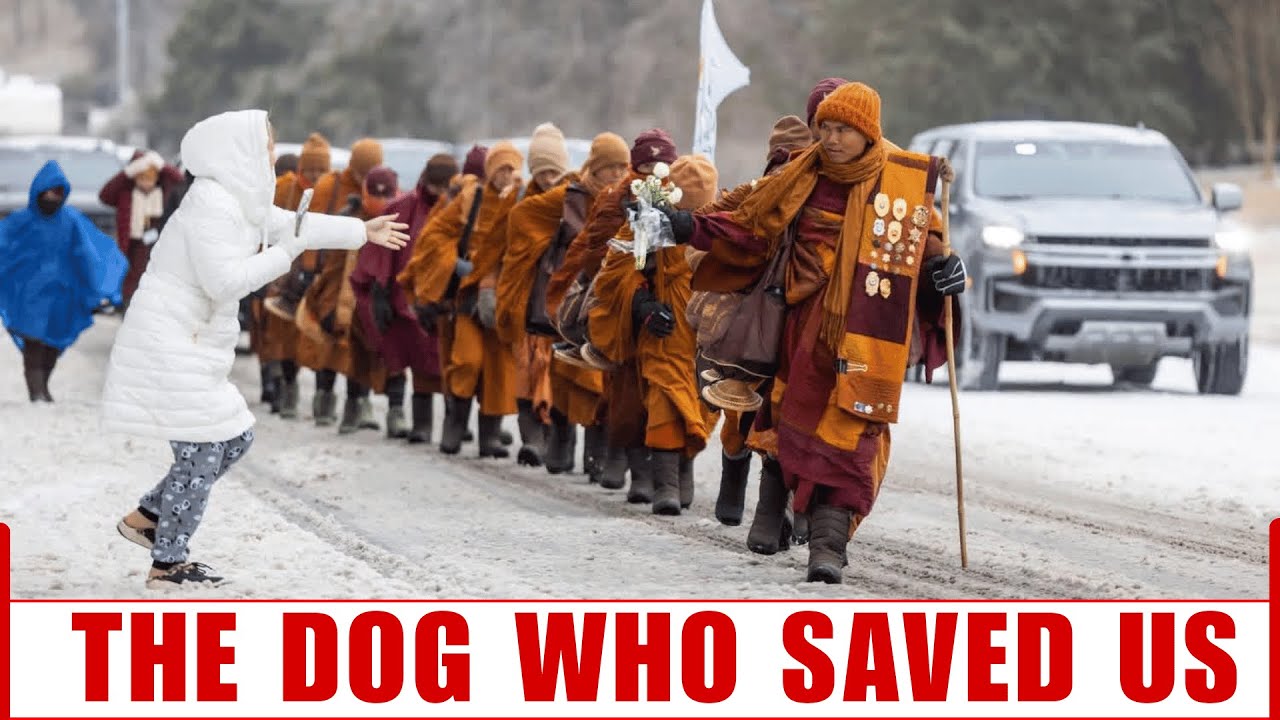 Walk for Peace 🕊️ 2300 Miles Of Healing Across America | Peace Trek 2026