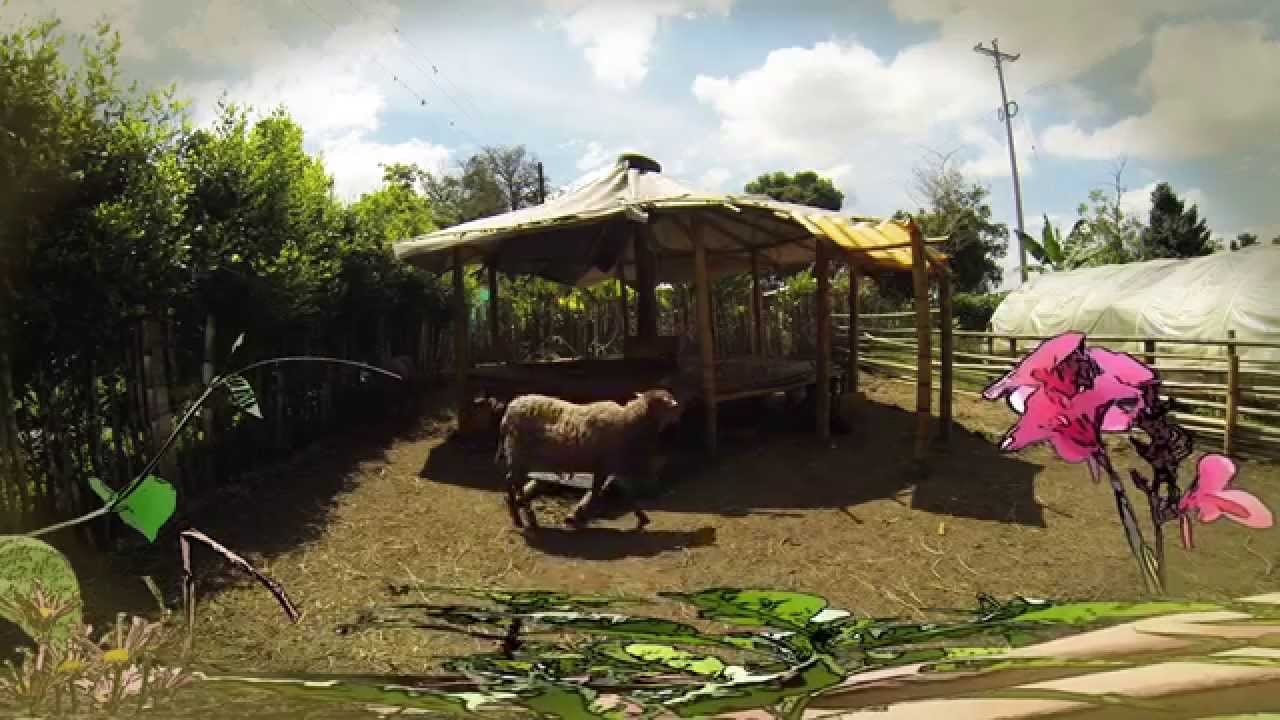 Granja Ecológica Agroindustrial / Cápsula Ambiental