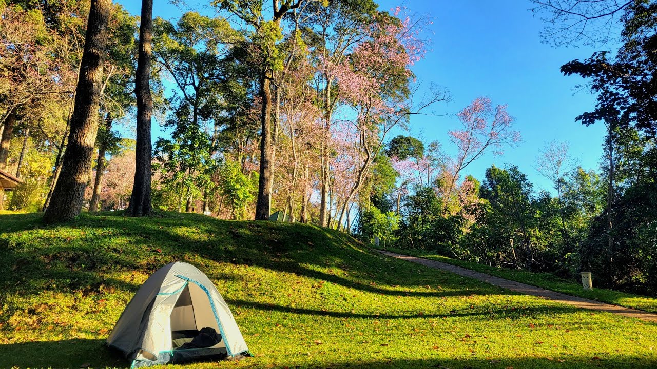 Motocamping Trip to Doi Pui, Chiang Mai ขี่มอเตอร์ไซค์กางเต๊นท์ที่ดอยปุย