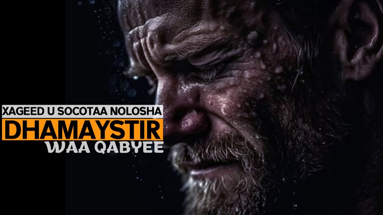 Xageed u socotaa nolosha