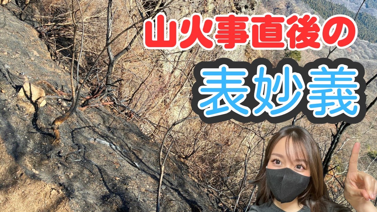 【妙義】火事直後の登山道はどうなってるのか見に行ったら迷って泣いた