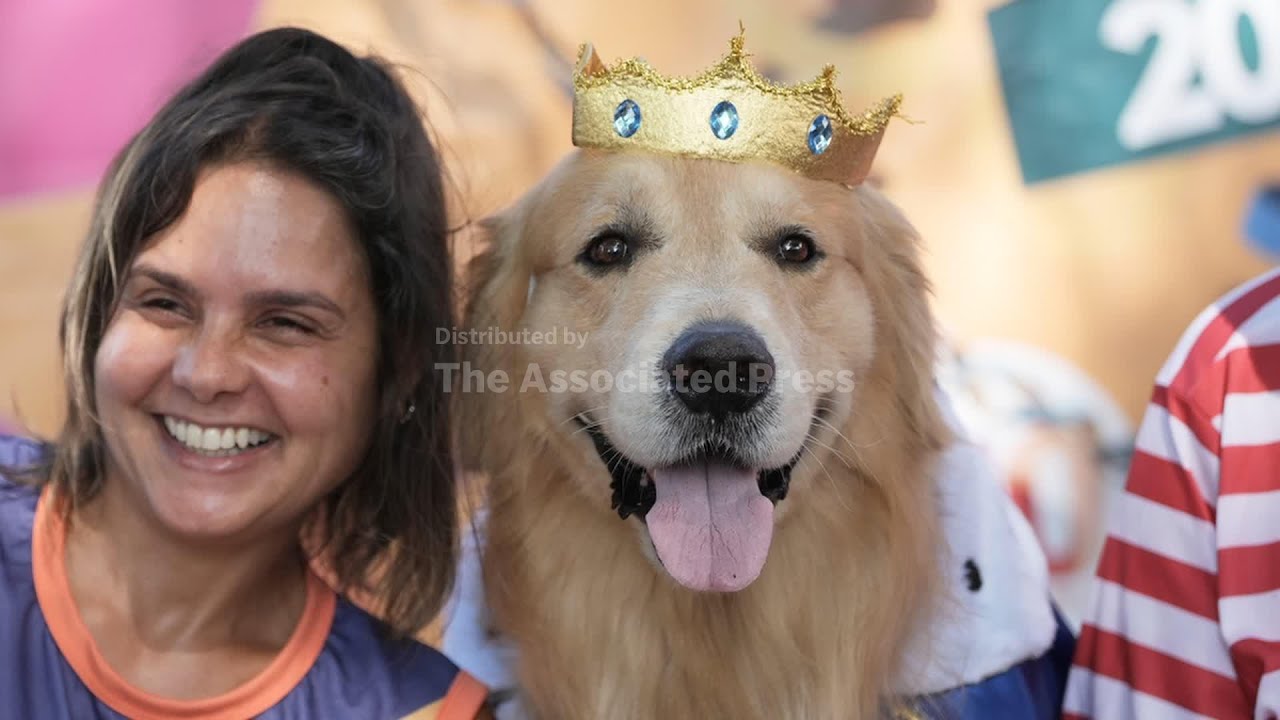 Dogs parade at Rio Carnival as their owners protest against animal cruelty
