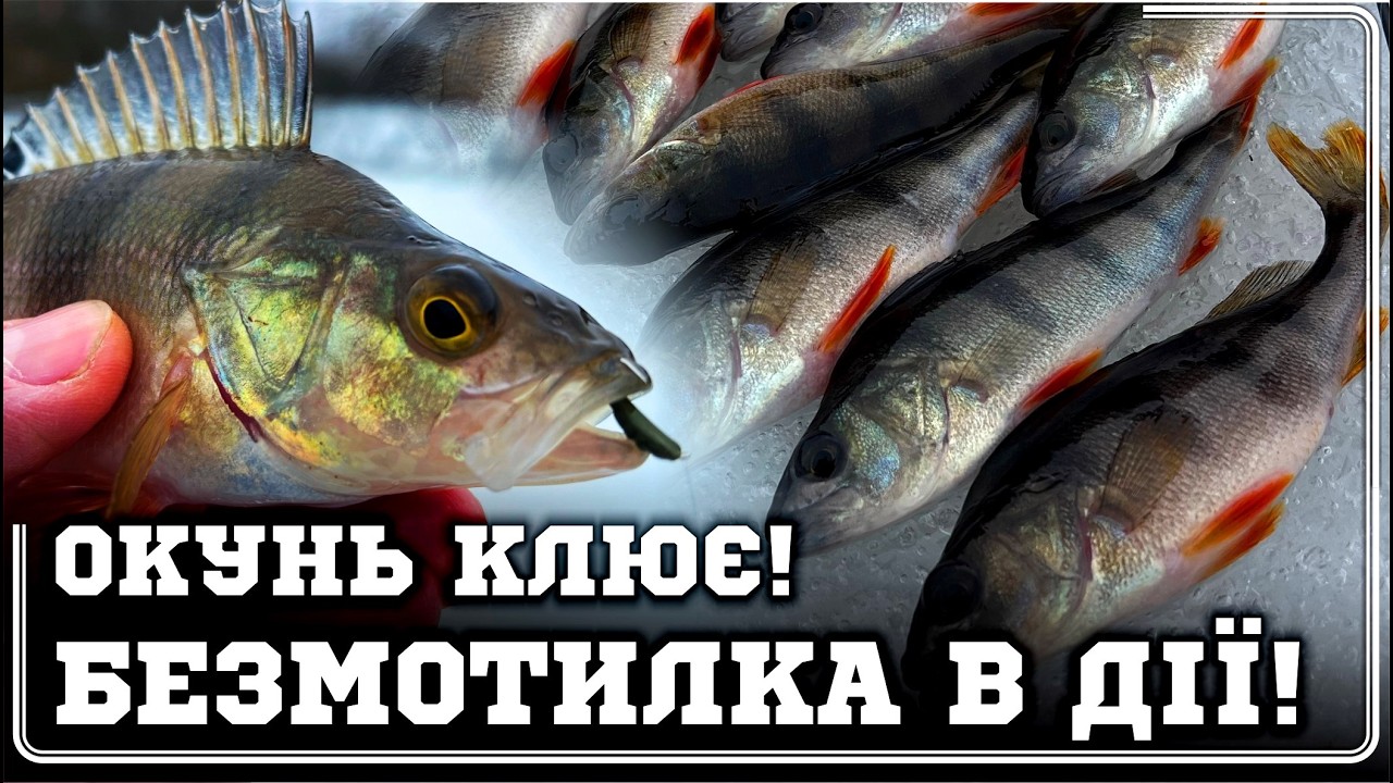 ✅ ОКУНЬ ШАЛЕНІЄ у ЛЮТОМУ‼️БЕЗМОТИЛКА ТВОРИТЬ творить ДИВА у ВІДЛИГУ❄️‼️