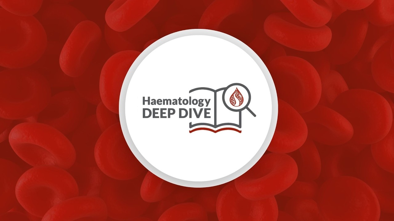 2026-03-02 Haem Deep Dive – Transforming and Building the SANBS Donor Base – Dr. Karin van den Berg