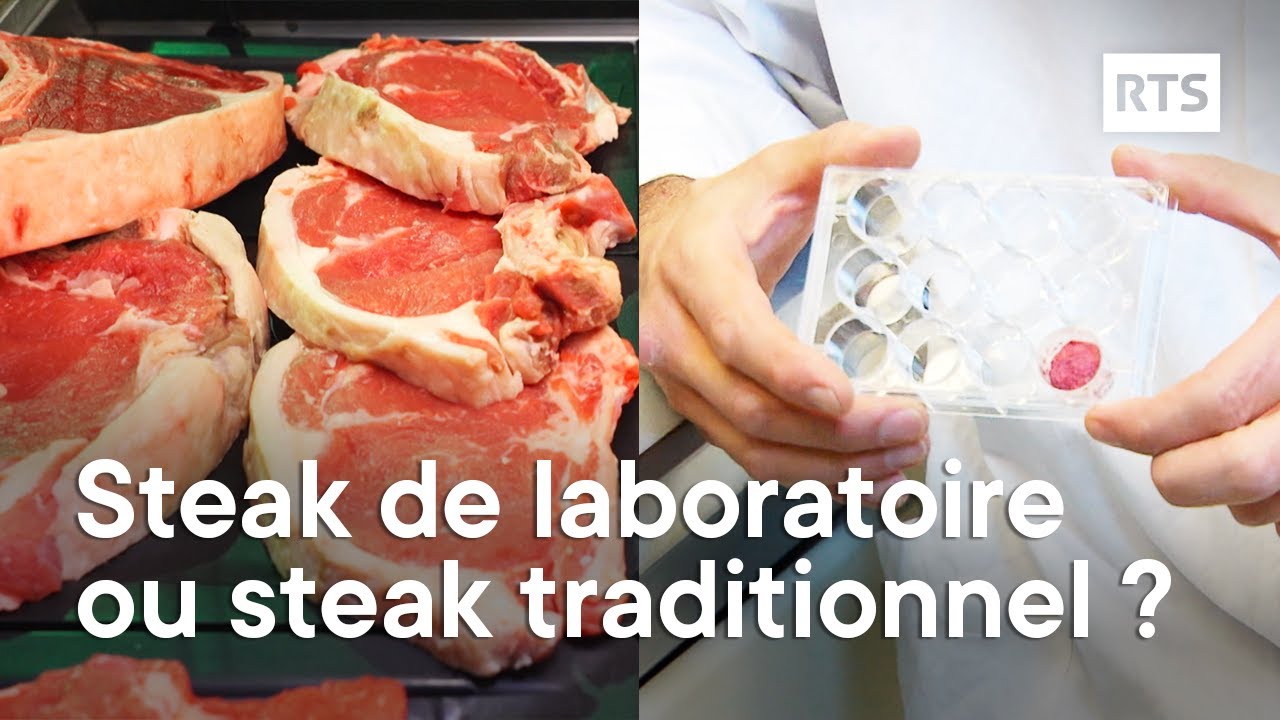 Votre steak : du laboratoire ou traditionnel ? | RTS