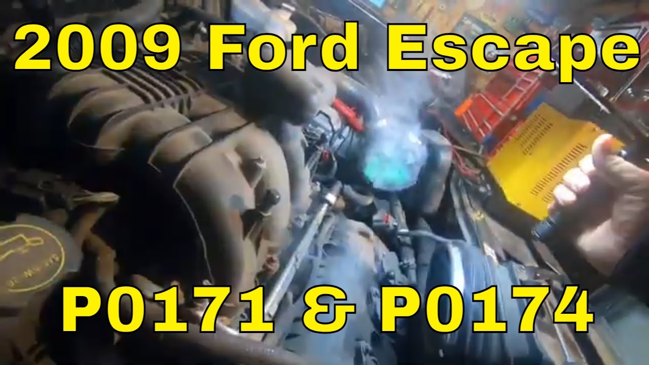 2009 Ford Escape P0171 & P0174
