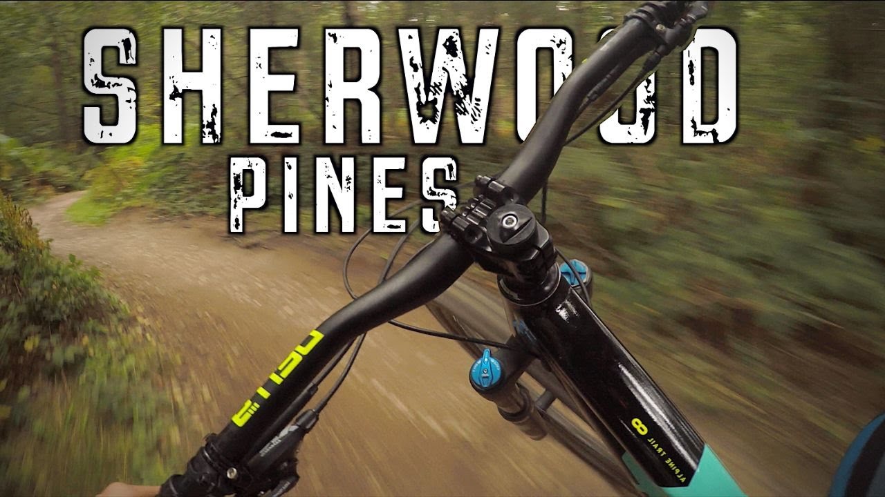 Красный маршрут Sherwood Pines MTB, трамплины и трассы для спуска