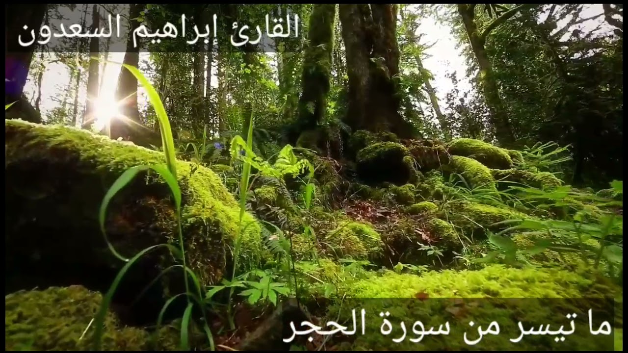 ما تيسر من سورة الحجر للقارئ إبراهيم السعدون