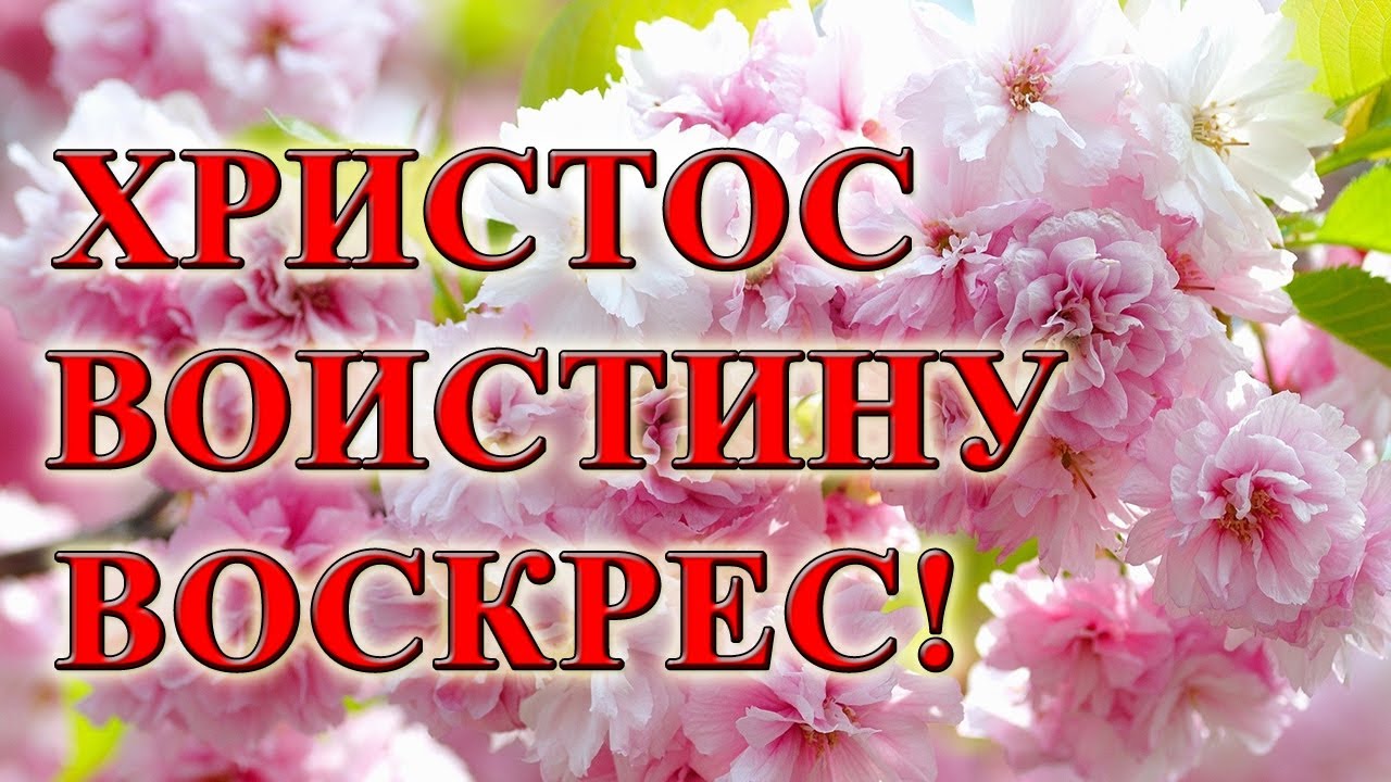 ❤САМЫЙ КРАСИВЫЙ СТИХ НА ПАСХУ! Смерть у подножия креста стояла. Пасха 2021. Христианские стихи.
