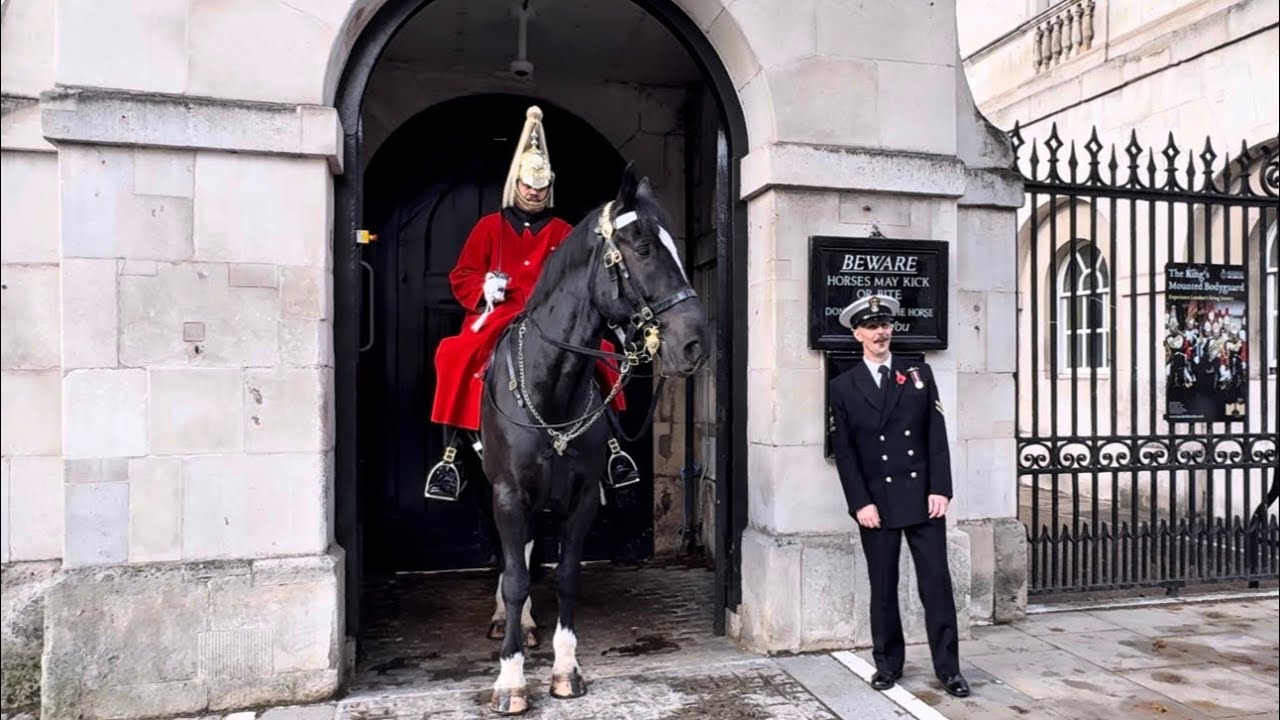 Beautiful moments with horse guards 🇬🇧