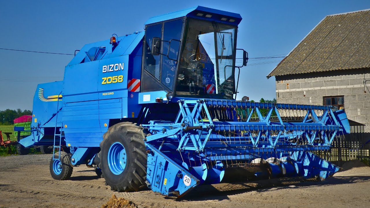Bizon Rekord ,,Millenium'' - Jeden z najmłodszych Bizonów!!