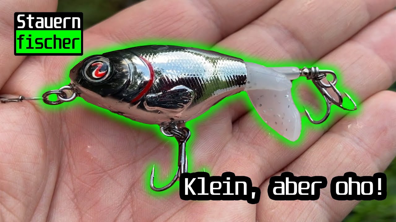 Stauernfischer auf Tour - Der Whopper Plopper liefert! #whopperplopper #river2sea