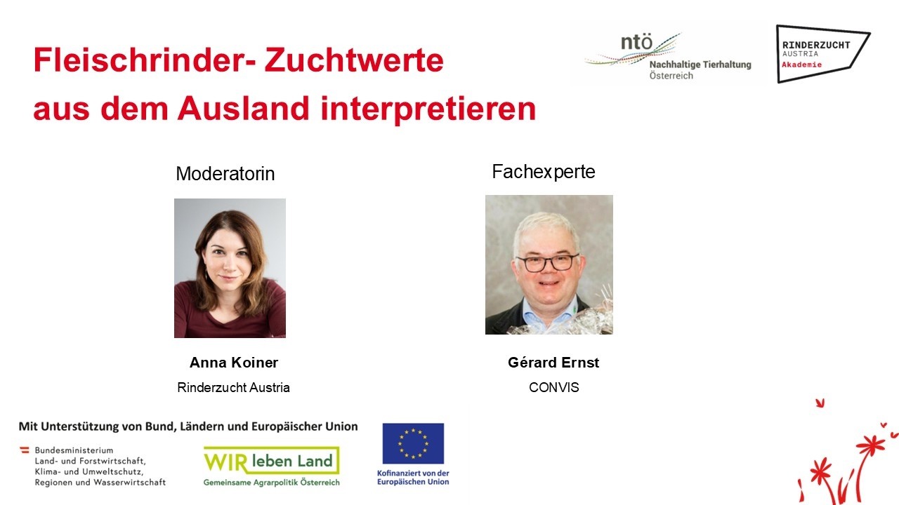 Webinar: Fleischrinder-Zuchtwerte aus dem Ausland interpretieren