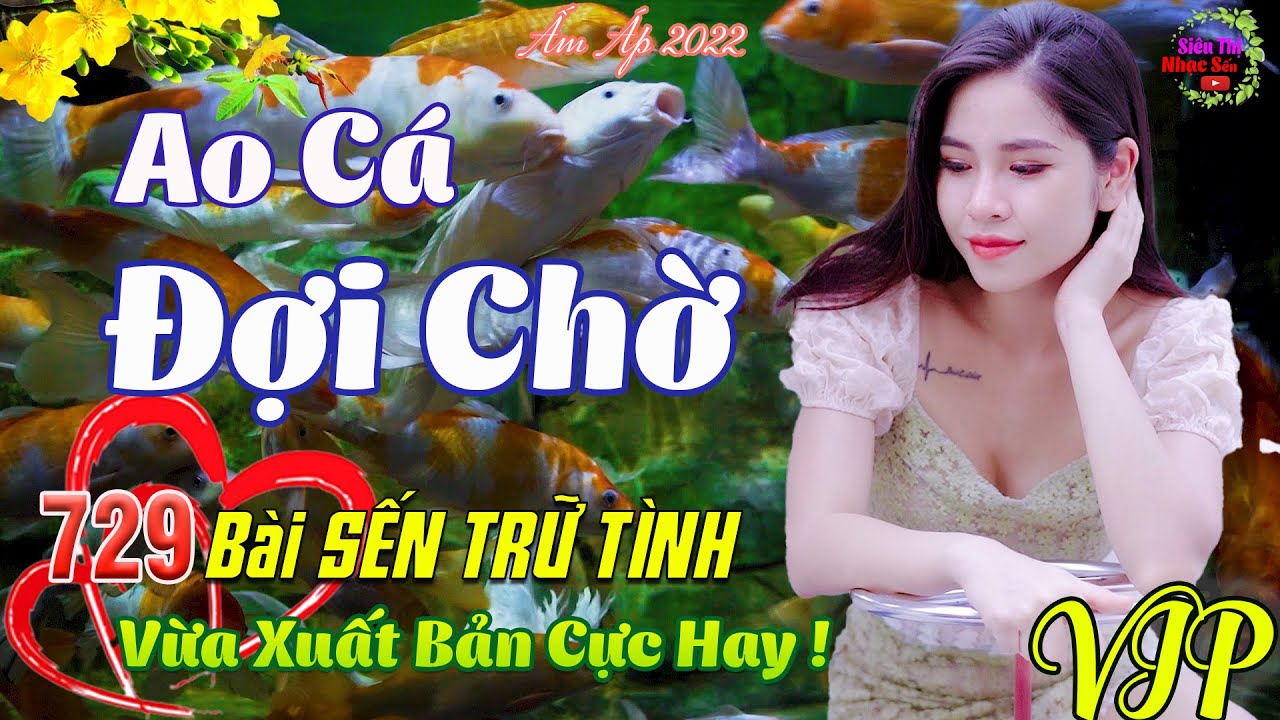 Con Đò Lỡ Hẹn, Ao Cá Đợi Chờ💞729 Bài Sến Trữ Tình Tâm Trạng Thanh Ngân Mai Tiến Đạt XUẤT BẢN CỰC HAY