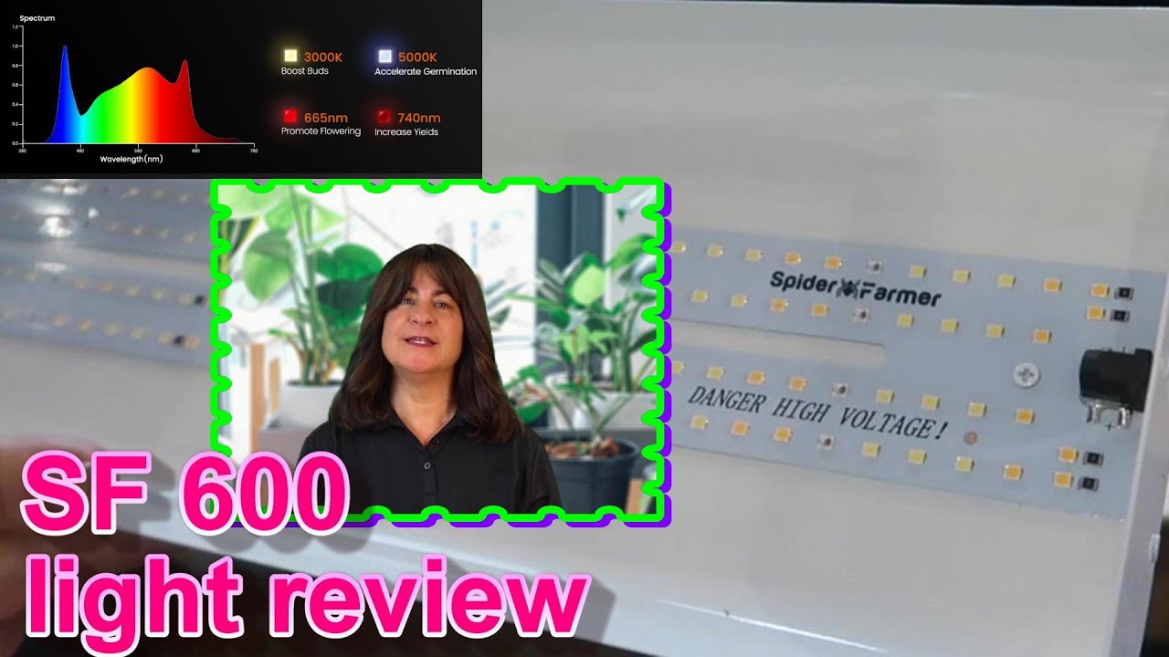 Spider Farmer SF600 LED Grow Light Review