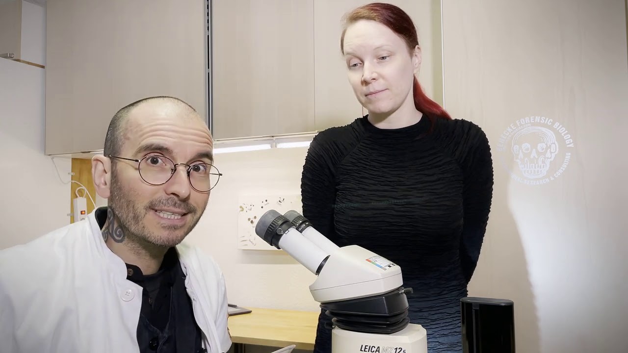 Mark & Ines allein im Labor 😅 Versteinerte Insekten