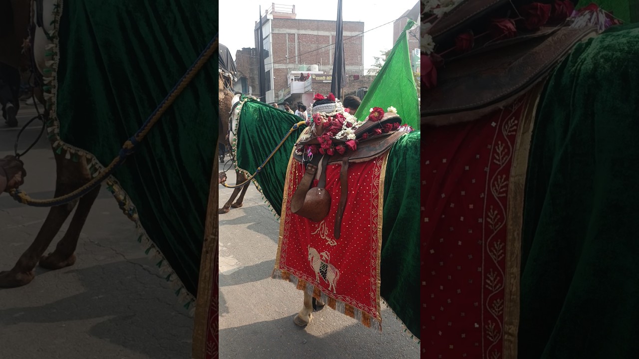 28 Rajab Safar madina imam Hussain madina se karbla juloos e amari amhat Sultanpur 