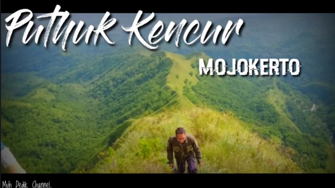 PUTHUK KENCUR  - Mojokerto #puncak   #puncaksejati 
